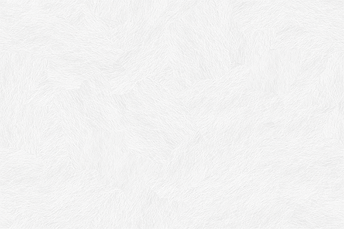 subtle_white_feathers.png